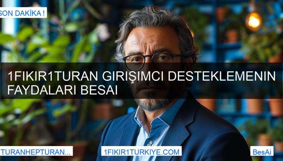 1Fikir1Turan Girişimci Desteklemenin Faydaları BesAi